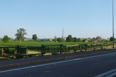 DSCF2542